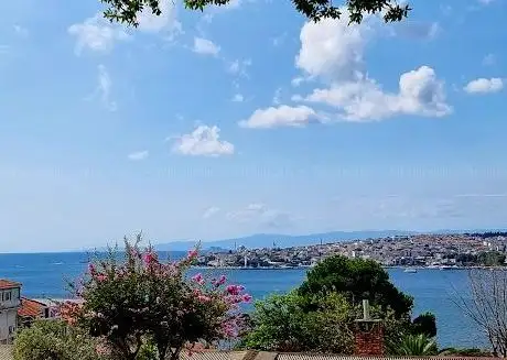 Photo de YILDIZ PARKI PİKNİK YERİ