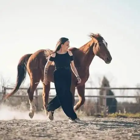 Photo de Laure Fanjaud - Equitazione Etologica