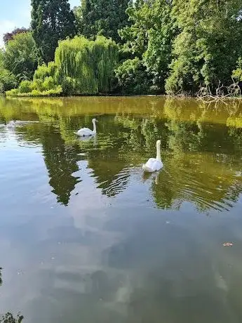 Photo de Aire de jeux du lac de Saint-Mande