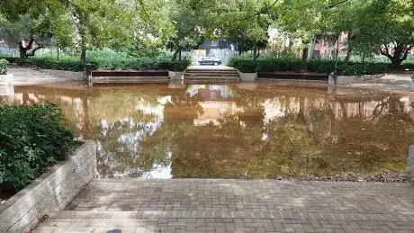 Photo de Plaça del Cedre