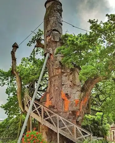 Photo de Chêne - chapelle