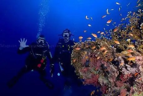 Photo de Diving Hurghada club