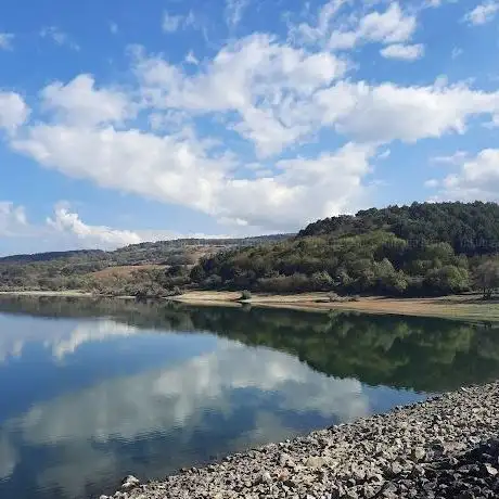 Photo de Gölköy Barajı Park ve Rekreasyon Alanı