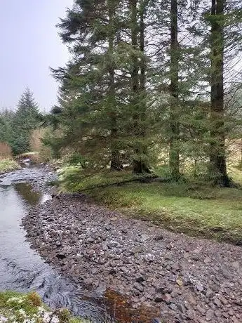 Photo of Glenshane Forest