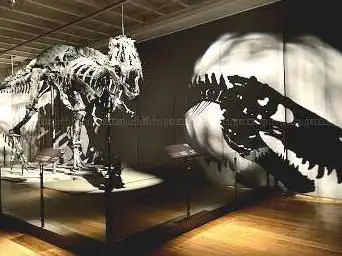 Photo de Statens Naturhistoriske Museum