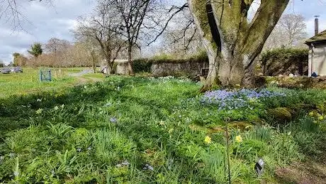 Photo de RHSI Bellefield