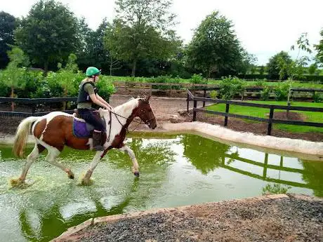 Photo de Moy Equestrian Centre