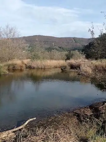Photo de Marais de Jaizubia