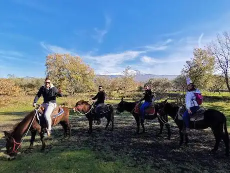 Photo de Etna Donkey Trekking