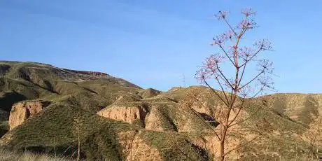 Photo de Cueva de los Gigantones