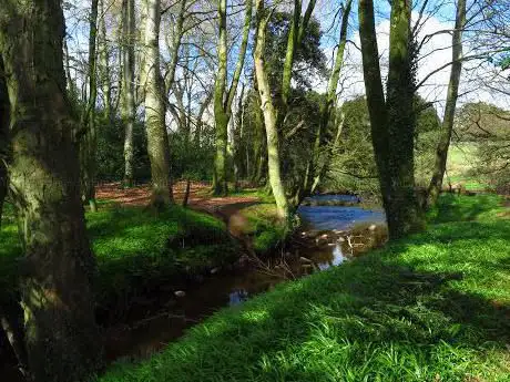 Cabin Wood  Woodland Trust