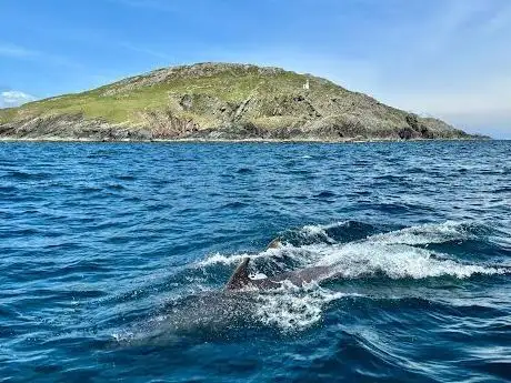 Photo de Achill Seascape Boat Tours