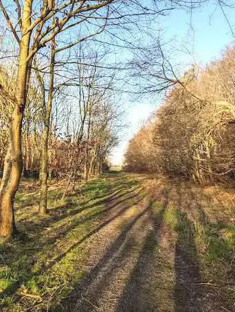 Foto de Les Dunes Noyon