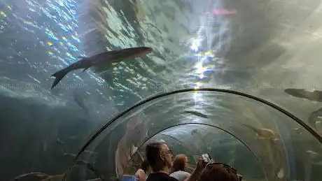 Photo de SeaQuarium Rhyl