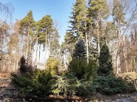 Photo de Liptovský Hrádok arboretum