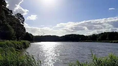 Photo de Wilschwitzer See