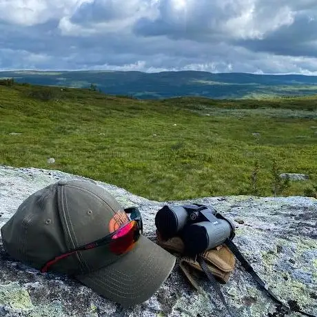 Photo de Trehörnings masugn