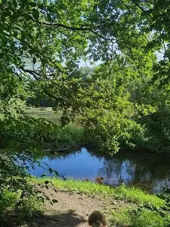 Photo de See Park