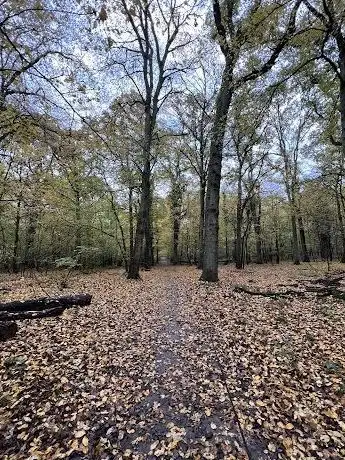 Foto de Bois St Martin