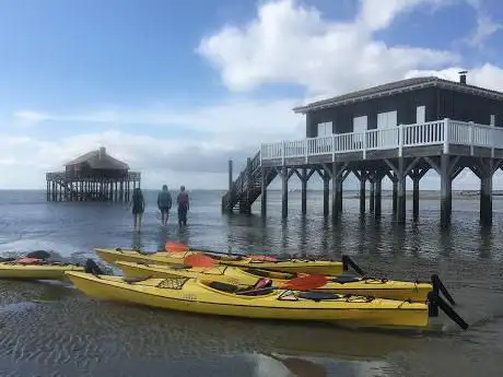Photo de Cape Kayaking Cata 'c