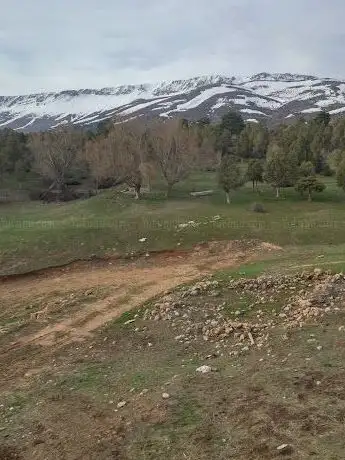 Photo de Kızılören Piknik Yeri