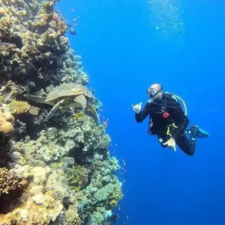 Photo de Red Sea Marine Diving Center
