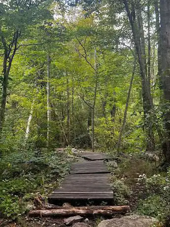 Photo de Webster Conservation Area