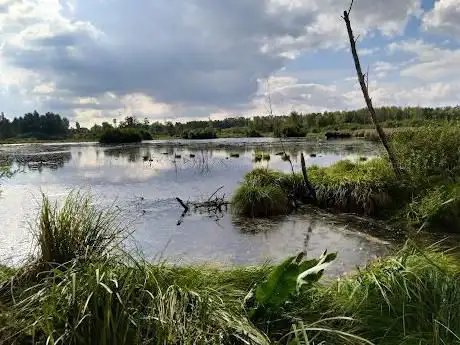 Photo de Étang de l'Ilé