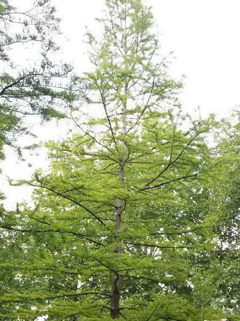 Photo de Parc des Voirets