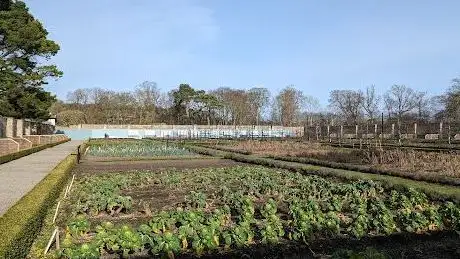 Victorian Kitchen Garden