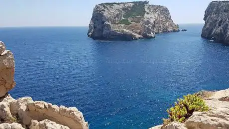 Photo de Cala Barca