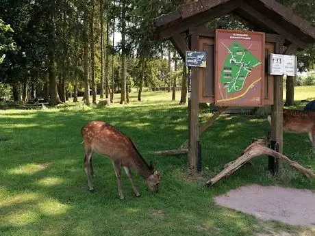 Photo de Wildpark Frankenberg