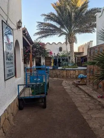 Photo de Dahab Divers Lodge - Padi 5* dive centre Dahab