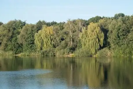 Photo de Autobahnsee