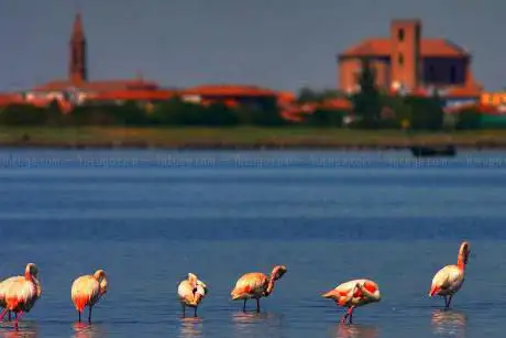 Photo de Po Delta Tourism s.r.l.