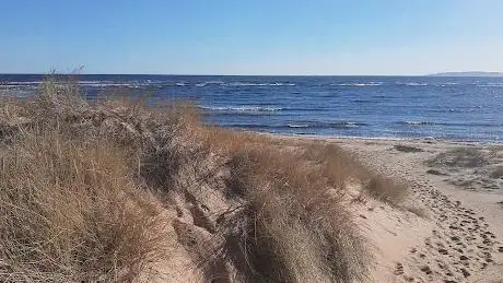 Photo de Gullbranna Naturreservat