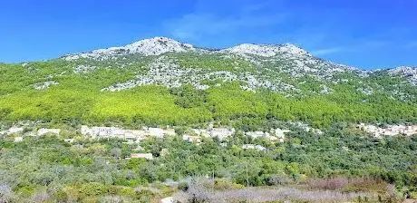 Photo de TURISTIČKA ZAJEDNICA OPĆINE MLJET