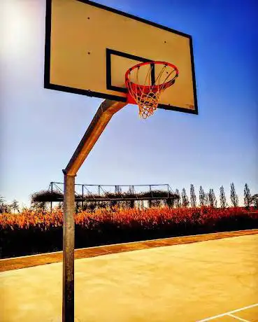 Photo de Campi da pallacanestro