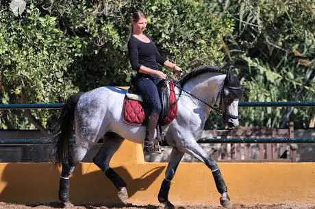 Photo de Hacienda Stein