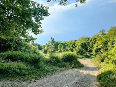 Photo de Park of Montjean