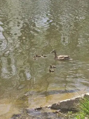 Photo de Plan d'eau de l'egotay