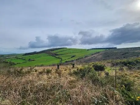 Photo de Bweengduff Mountain Forest Recreational Area