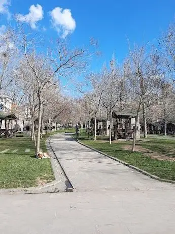 Photo de Veterans Park