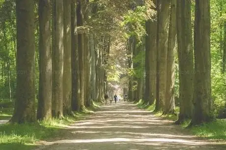 Photo of Arboretum de Tervuren