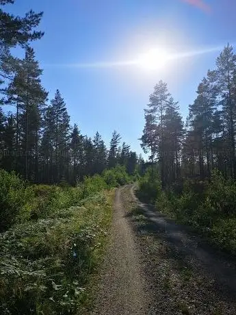 Photo de Stadsskogen exercise tracks