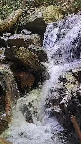 Photo de Poučna staza Bistra
