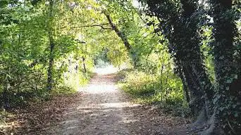 Photo de sensitive natural area of ​​Yvette