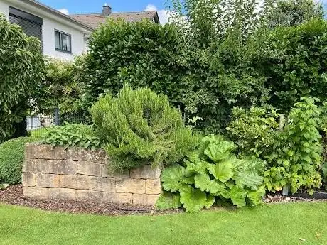 Photo de Gehrking Gartenbau und Gartenservice