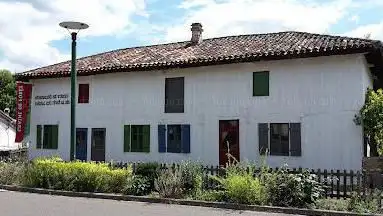 Photo de Graine de Forêt