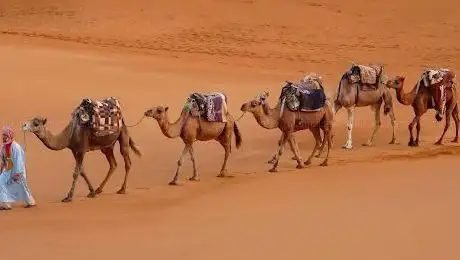 Photo de Toward Morocco Tours